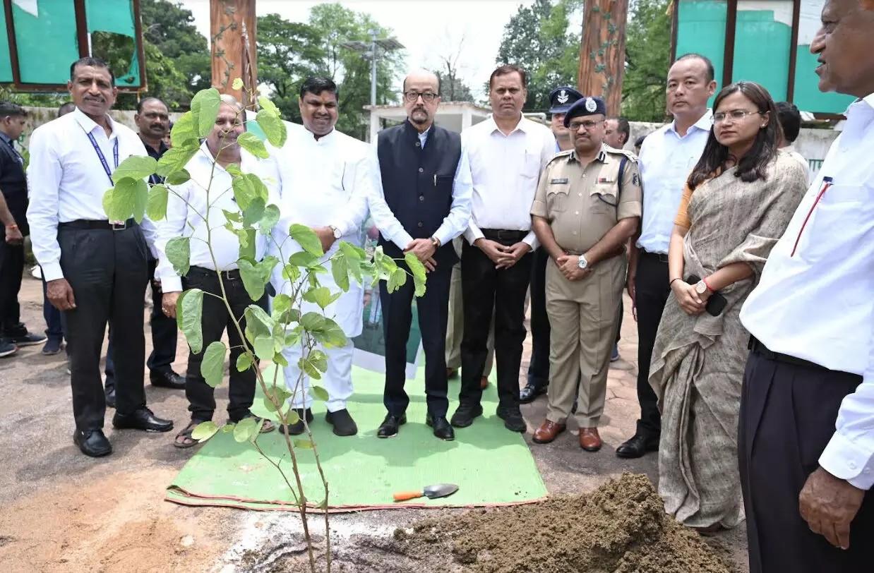 एक पेड़ मां के नाम अभियान पर Governor रमेन डेका ने लगाया कचनार का पौधा