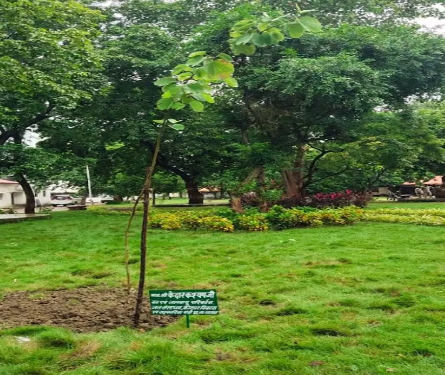 दुर्ग में '1 पेड़ माँ के नाम' अभियान से मनाया गया स्वतंत्रता दिवस