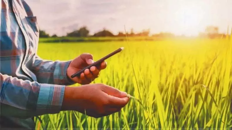 छत्तीसगढ़ में डिजिटल फसल सर्वेक्षण: एक नया युग