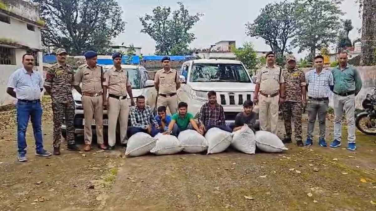 गौरेला पेंड्रा मरवाही में पुलिस ने रचा बड़ा काम: 1.6 क्विंटल गांजा जब्त, 5 अंतरराज्यीय तस्कर गिरफ्तार!