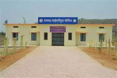 रायगढ़ में प्रधानमंत्री/मुख्यमंत्री कौशल विकास योजना के तहत नि:शुल्क प्रशिक्षण!